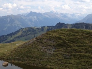 Ausblick